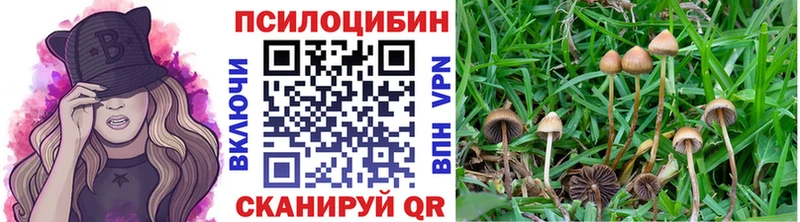 цены наркотик  Борисоглебск  Галлюциногенные грибы Psilocybine cubensis 